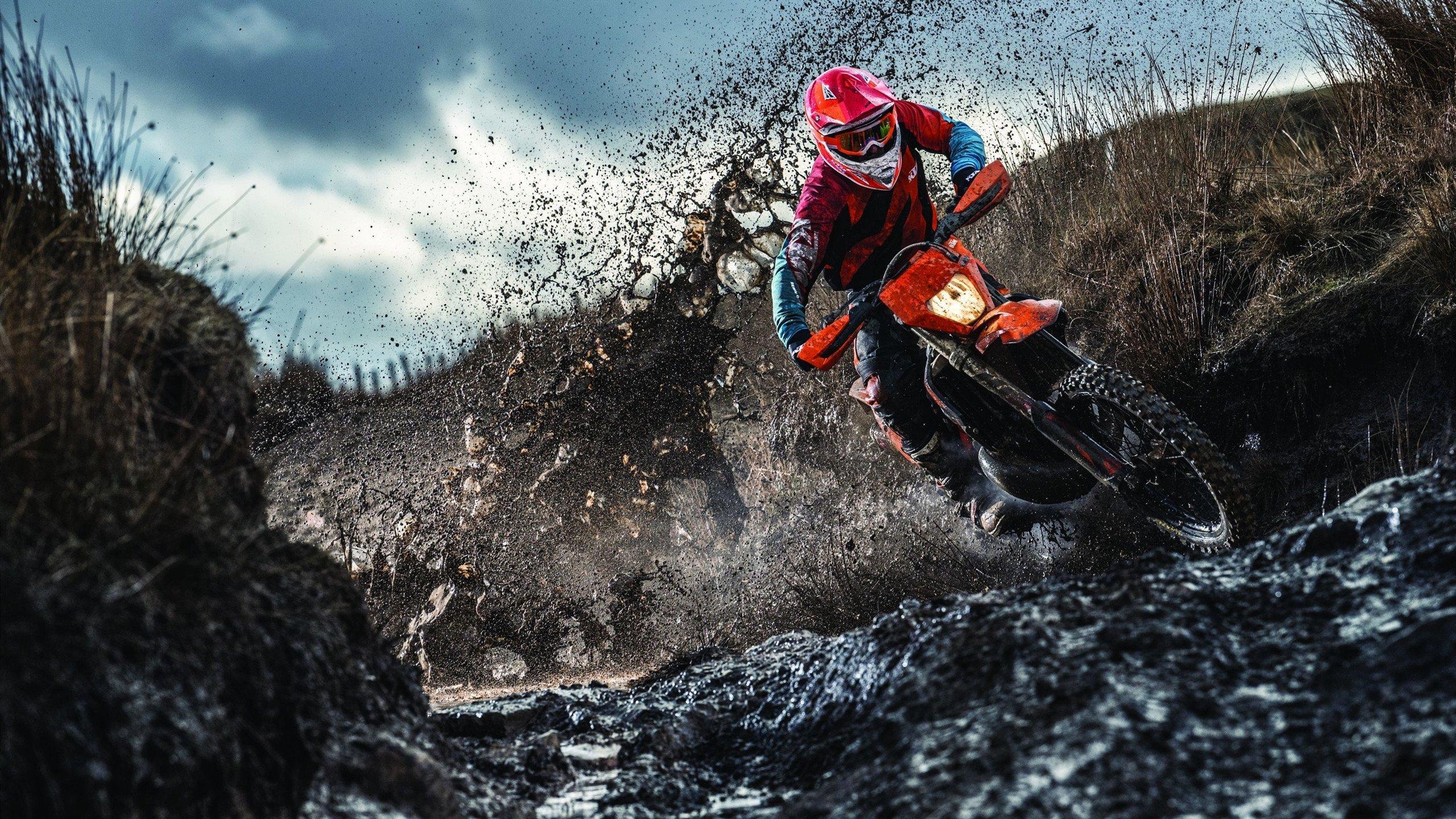 张雷指导谈王楚钦，战术变化应用得当，脑子里有东西了